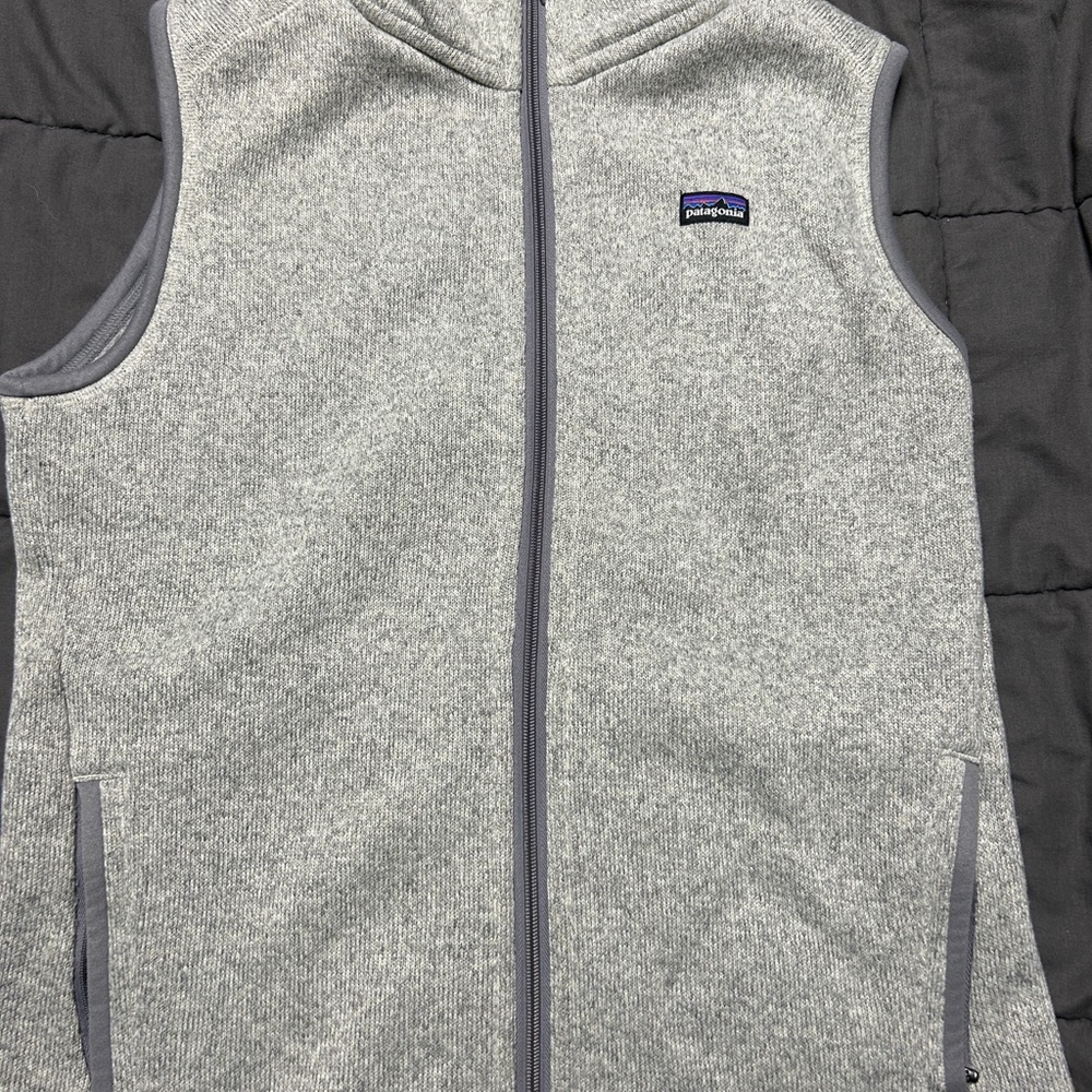 Patagonia Women's Gray Fleece Vest